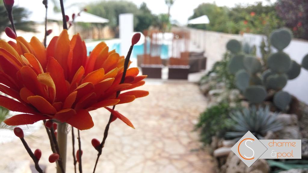 Carone Suite-Charme&Pool โปลีญาโนอามาเร ภายนอก รูปภาพ